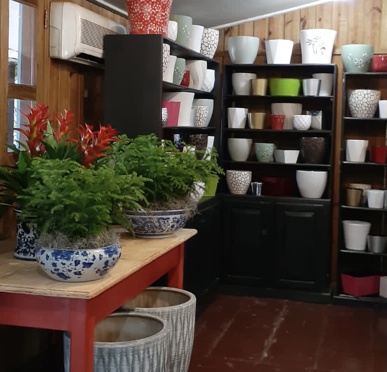 Paisajismo Casa de Campo